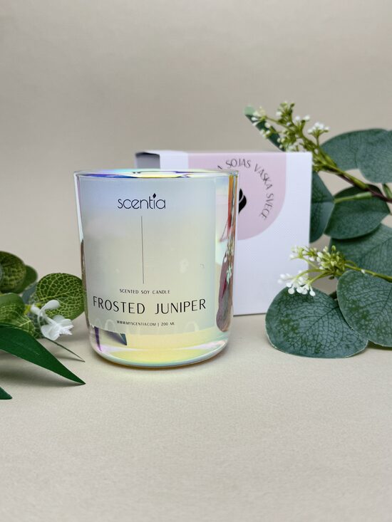 Sojas vaska svece APSARMOJIS KADIĶIS / FROSTED JUNIPER, 200g