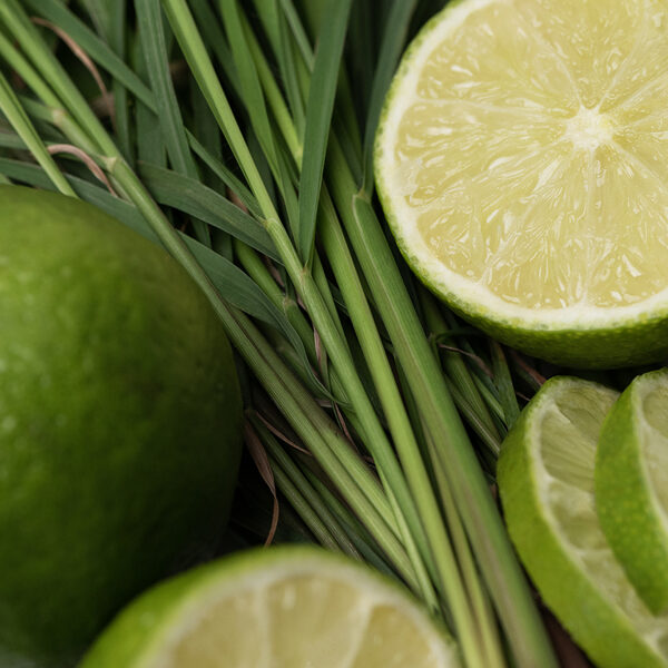 Aromātiskā eļļa CITRONZĀLE un LAIMS /  LEMONGRASS and LIME, 10g